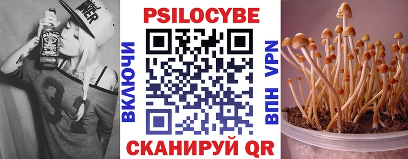 Псилоцибиновые грибы MAGIC MUSHROOMS  как найти   Белоозёрский 